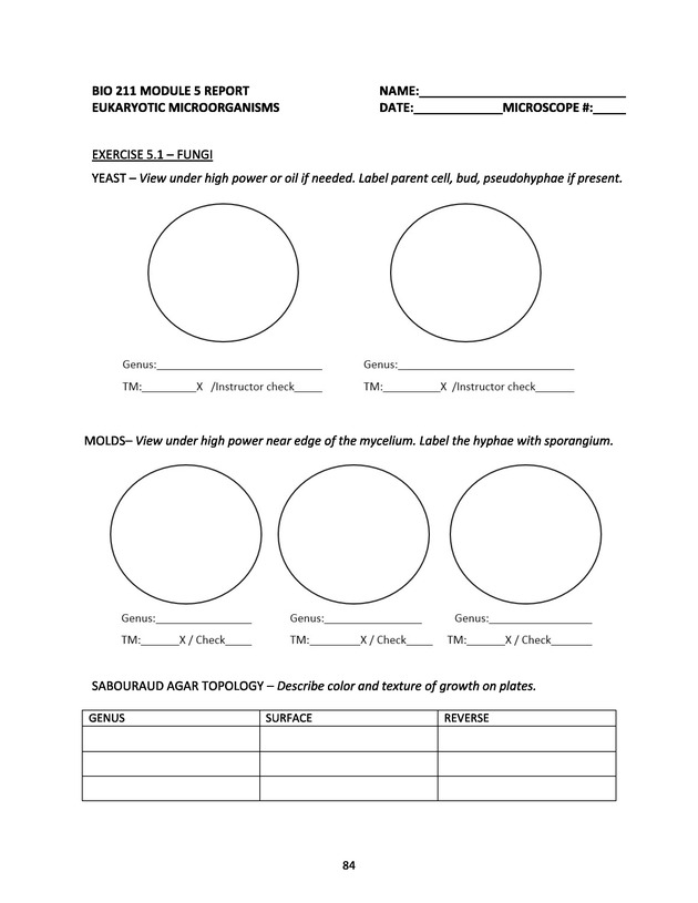 Microbiology - Module 5 Introduction - Page 84